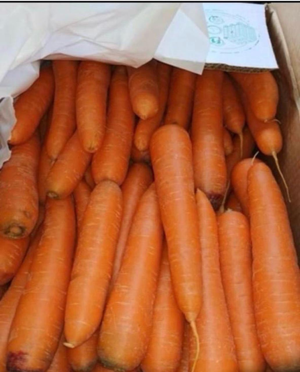 Cenouras frescas selecionadas